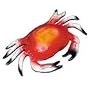 Hard Plastic Crab