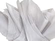 10 Sheets Gift Tissue Paper - Each Sheet 20" X 26" - Wedding/Shower/Party/Gift Wrap - Grey