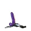 Purple Delight Hollow Strap-on