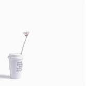 あいたくて/MORNING-EVENING/goin' places