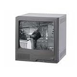 Security-Center 9in S/W CRT-Monitor