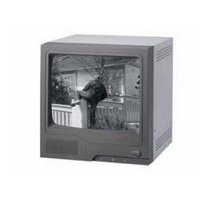 Security-Center 9in S/W CRT-Monitor