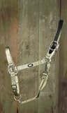 Hamilton Halter Company 8-11hlt W Lthr Hdpl, Brshd Hdw Sage Average - B 1DALS AVSG
