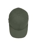 Flexfit Brushed 6-Panel Cap