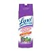 Lysol Disinfectant Spray, Crisp Berry Scent- 19 Oz