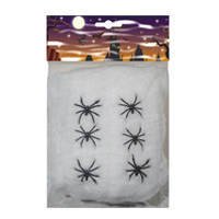 Spinnengewebe weiß mit 6 Spinnen (100 g)