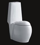 IMAGE OF HOSTILIAN Dual Flush Modern European Italian One Piece Toilet