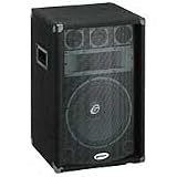 Gemini GSM1250 3-Way Loudspeaker (100 Watts, 1x12 in.)