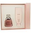 Vera Wang Truly Pink by Vera Wang for Women. Set-Eau De Parfum Spray 3.4-Ounces & Body Lotion 5-Ounces