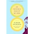 Invisible Sign My Own Novel