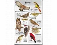 For The Birds - IdentiFlyers Forest