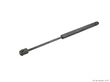1998-2006 Ford Crown Victoria Sachs Hood Strut