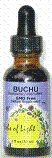 Buchu - 1 oz - Liquid