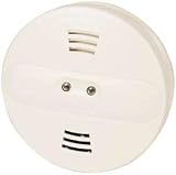 Smoke Detector Hidden Camera
