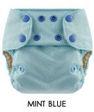 Blueberry One Size Deluxe Pocket Diapers - Snaps - Mint Blue
