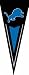 Detroit Lions Yard / Wall Pennant