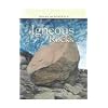 Igneous Rocks (Rocks and Minerals)