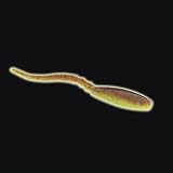 Fishing: Cabela's Salt Striker Sand Eel with AquaGlow