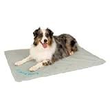 Pet Supplies : Cool Bed III (Medium 22" x 32")