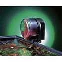 Daily Double II Feeder - 3 12 in. x 3 12 in. x 4 in.
