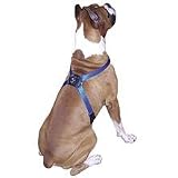 Coastal Pet Size Right Adjustable Nylon Dog Harness (Red, Small, 16-26 inch Girth)