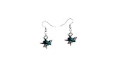 NHL San Jose Sharks Earrings