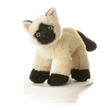 Plush Umi Siamese Cat Mini Flopsie 8
