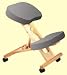 Putnams No.1 Internet Chair, Kneeling Posture Chair Aligns Your Spine To A Natural 'S' Shape For Fatigue Free Sitting-Blue
