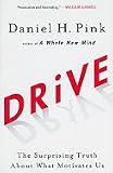 Drive (11) by Pink, Daniel H [Paperback (2011)]