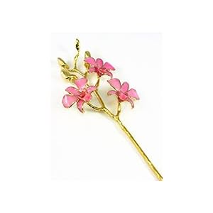 REAL FLOWER Dendrobium Orchid in Pink by 