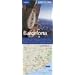 Barcelona City Map
