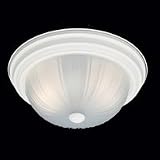 Thomas Lighting - SL8683-18