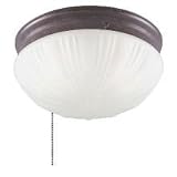 Westinghouse #67202 2lgt Sienn Ceiling Fixture
