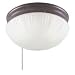 Westinghouse #67202 2LGT Sienn Ceiling Fixture