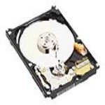 WD Scorpio WD1200BEVE - Hard drive - 120 GB - internal - 2.5 - ATA-100 - 5400 rpm - buffer: 8 MB
