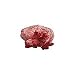 Kingsley Shower Cap - Red Design with Red Rose