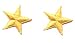 Yellow 1" Star - 2 FOR THE PRICE OF ONE!! - Embroidered Iron On or Sew On Patch
