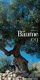Bäume 2009
