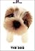 shih tzu - THE DOG Artlist - Shih Tzu - Hand Book - 6 Postcards