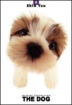 image link -  - B000IZ7XDE