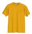Blend 50/50 Tee Shirt with a Pocket