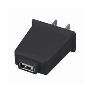 グリーンハウス コンセント型USB-ACアダプタ「エネプラグ」 ブラック GH-ACC-USBK