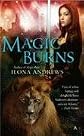 Magic Burns