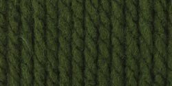Bernat Softee Chunky Yarn, Eucalyptus