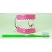 Giant Teeth with Giant Brush