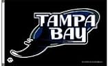 Tampa Bay Devil Rays 3x5 Flag
