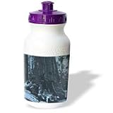 Scenes from the Past Magic Lantern Slides - Wawaon Tree at Maraposa Grove Yosemite National Park Cyan - Water Bottles