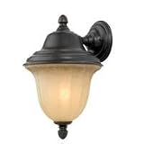 12-1/2-Inch Outdoor Wall Light