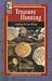 Treasure Hunting: Looking for Lost Riches (High Five Reading)