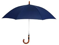 Leighton's "The Executive" Stick Umbrella, Navy